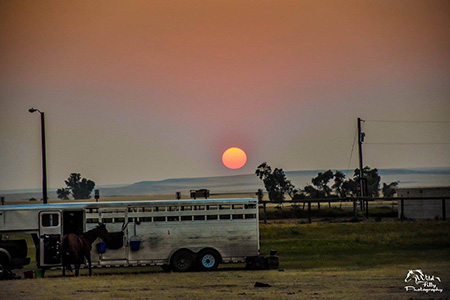 Daniels County Fair image