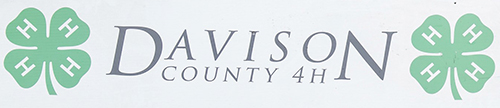 Davison County Achievement Days image